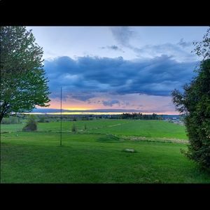 Meet your Posher, Wayne